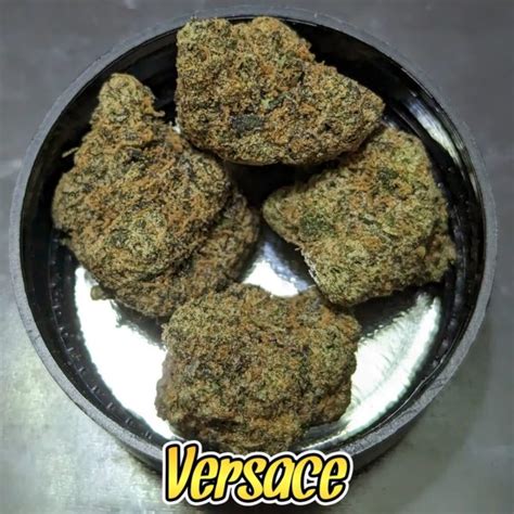 versace strain weed.